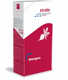Vis detaljer for Sukkerroer - morgan
 Billede af Sukkerroer - morgan