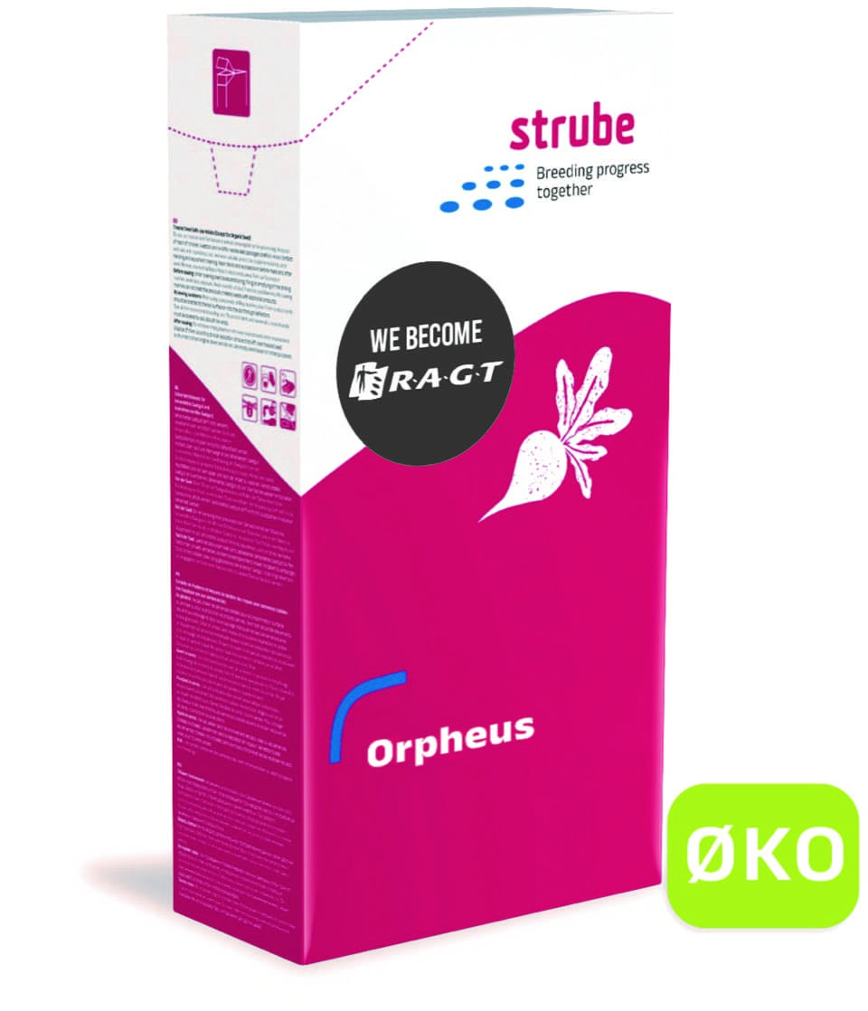 Billede af Økologisk certificeret sukkerroer - Orpheus - DE-Öko-003 
