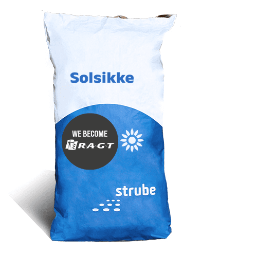 Billede af Solsikker
