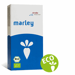 Billede af Økologisk certificeret sukkerroer - marley - DE-Öko-003 
